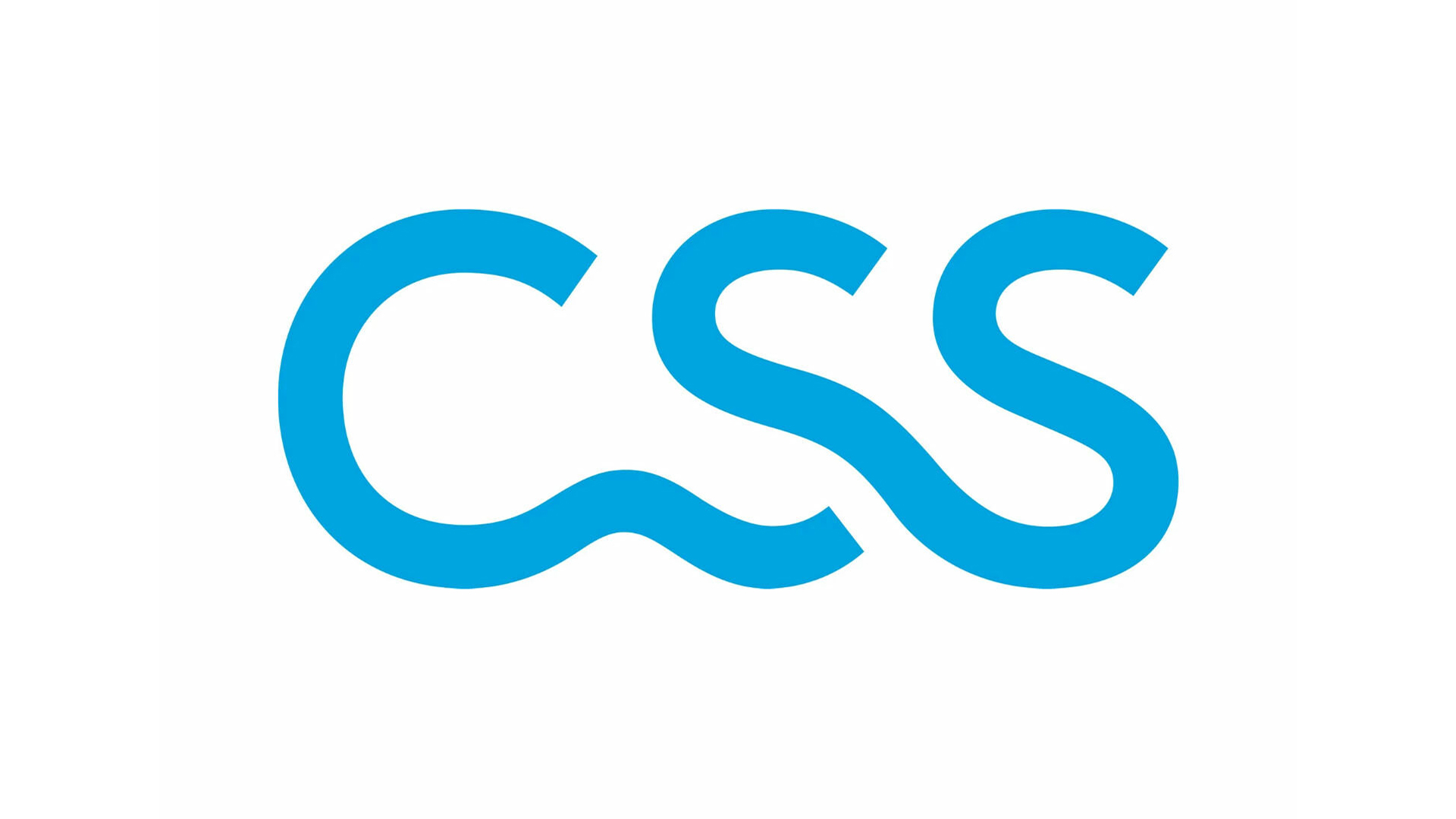 Türfachplanung CSS Holding AG Biel